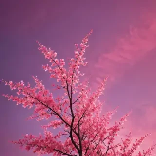 pink screensavers