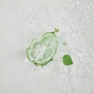 green on white background