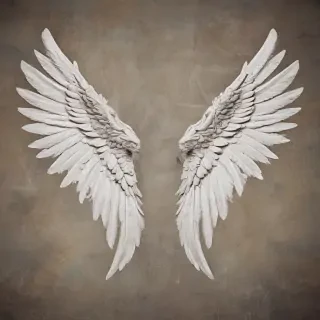 angel wing images