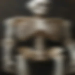skeleton wallpaper