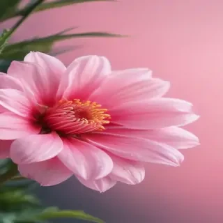 cute pink phone backgrounds
