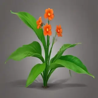plant png clipart