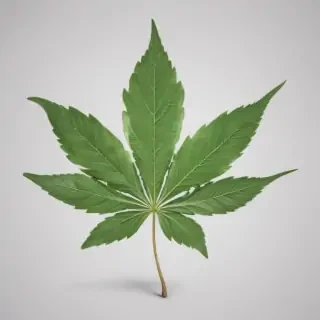 weed leaf png