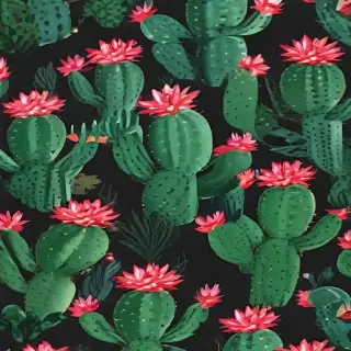 iphone cactus wallpaper