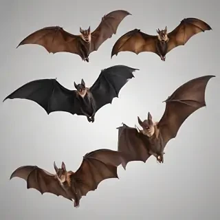 bats png