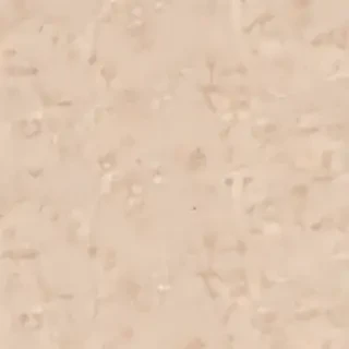 aesthetic beige wallpaper