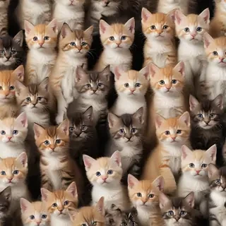 kittens background