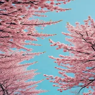 aesthetic spring wallpapers
