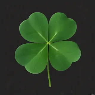 clover png