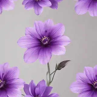 transparent purple flower