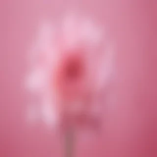 cute wallpaper pink