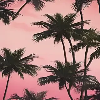 palm tree background