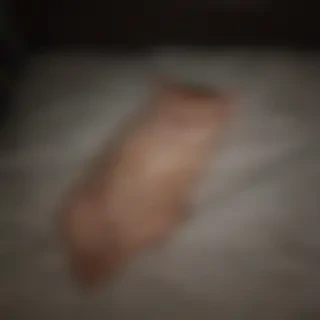 good night