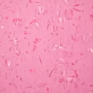 pink zoom background