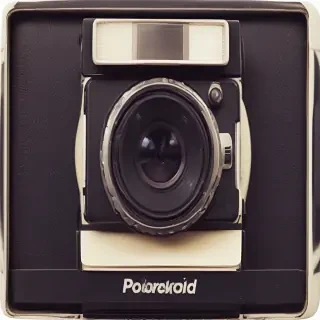 poloroid png