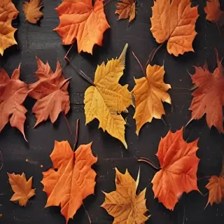 fall iphone wallpaper