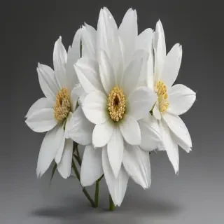 white flower png