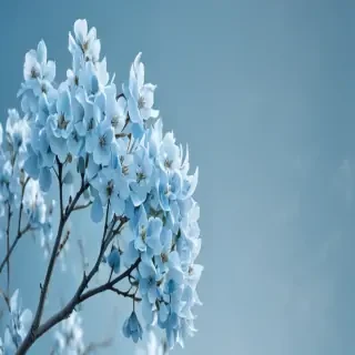 light blue wallpapers