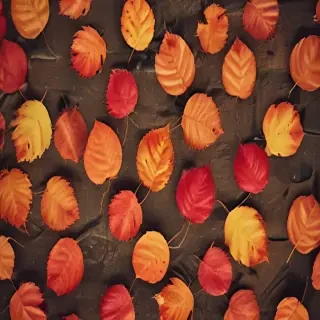 autumn leaves iphone wallpaper