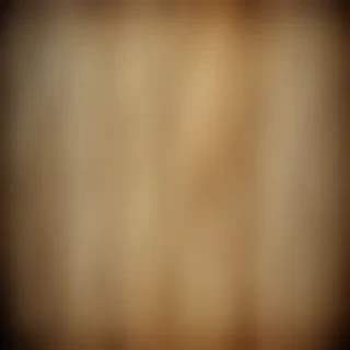 vintage texture overlay