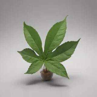 pot leaf png