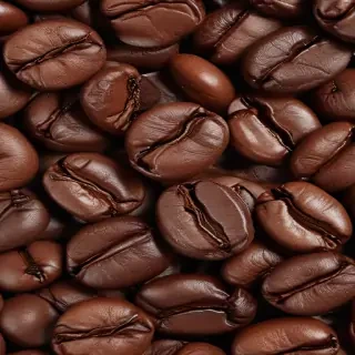 coffee bean png