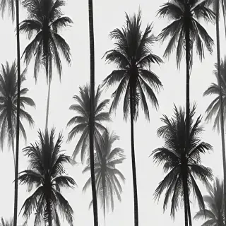 transparent palm trees