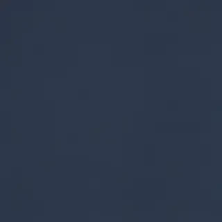 light navy blue background