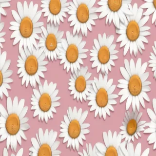 aesthetic daisy wallpaper