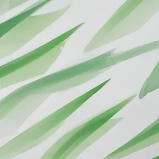 background white and green