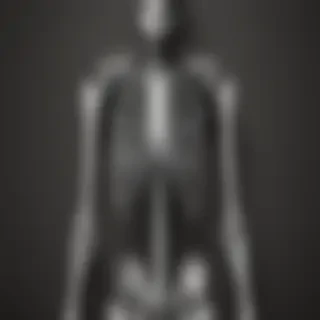 skeleton iphone wallpaper
