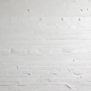 white wall paper