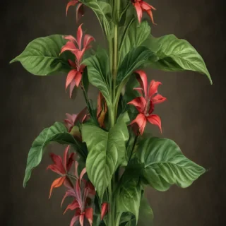 tobacco plant