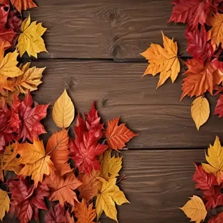 fall wallpaper