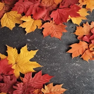 iphone wallpaper fall