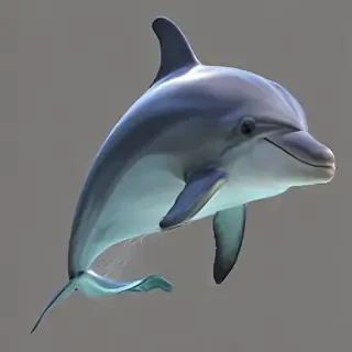 dolphins png