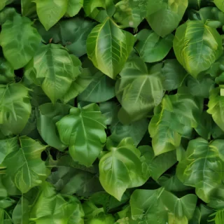 green leaf background