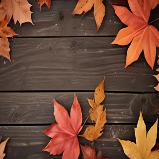 iphone backgrounds fall