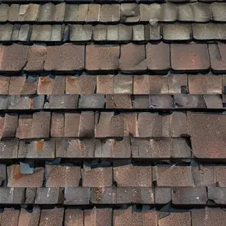 picture of shingles