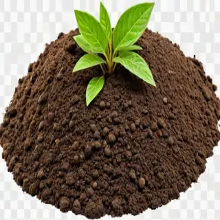 soil png
