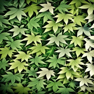 leafy background