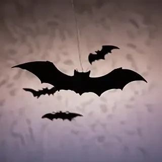 pics of halloween bats