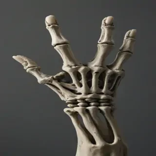 skeleton hand png