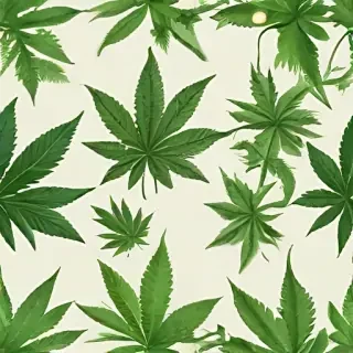 weed leaf png