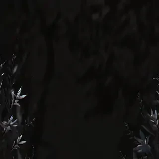 black bg aesthetic