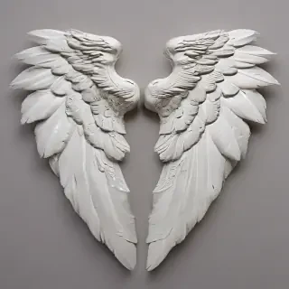 angel wing pictures