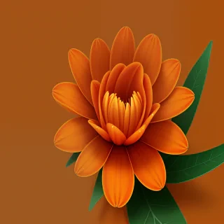 orange flower png