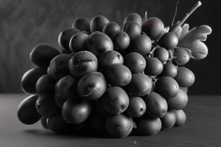 grapes clipart black and white