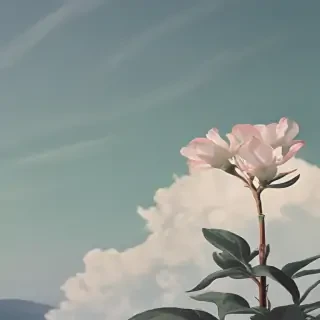 sage aesthetic wallpaper