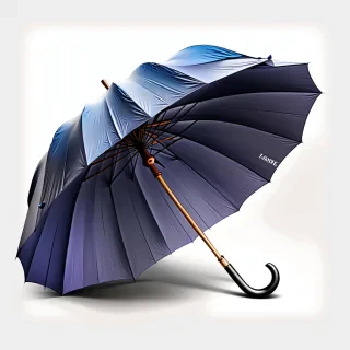 umbrella png